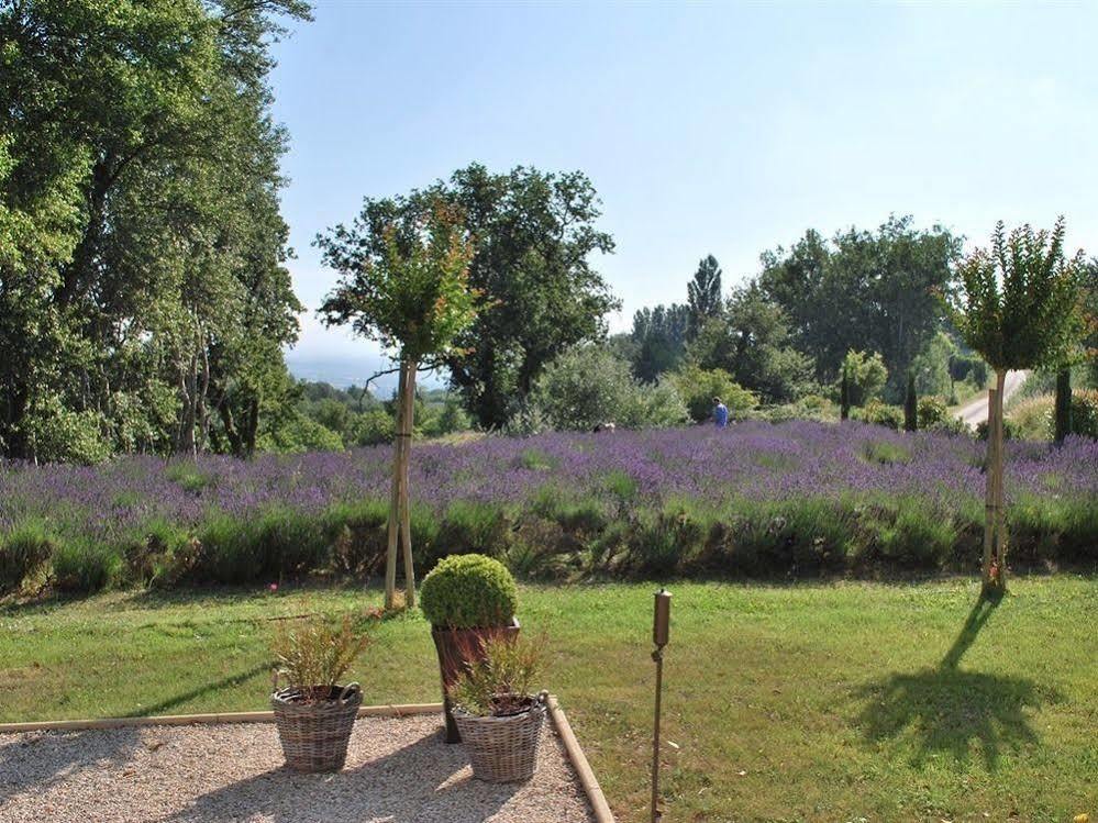 Domaine Le Bois Des Dames Panzió Chantemerle-lès-Grignan Kültér fotó